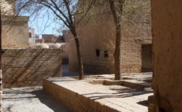 UZBEKISTAN 26-3 2-4 2009 Khiva – Bukhara- Samarcanda – Tashkent (144)