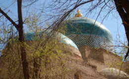 UZBEKISTAN 26-3 2-4 2009 Khiva – Bukhara- Samarcanda – Tashkent (145)
