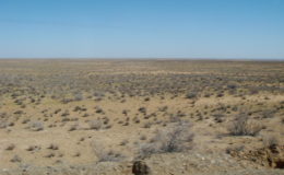 UZBEKISTAN 26-3 2-4 2009 Khiva – Bukhara- Samarcanda – Tashkent (199)