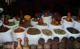 UZBEKISTAN 26-3 2-4 2009 Khiva – Bukhara- Samarcanda – Tashkent (213)