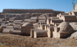 UZBEKISTAN 26-3 2-4 2009 Khiva – Bukhara- Samarcanda – Tashkent (24)