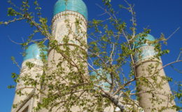 UZBEKISTAN 26-3 2-4 2009 Khiva – Bukhara- Samarcanda – Tashkent (263)