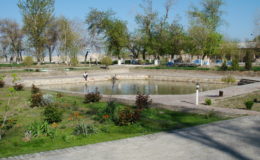 UZBEKISTAN 26-3 2-4 2009 Khiva – Bukhara- Samarcanda – Tashkent (273)