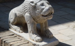 UZBEKISTAN 26-3 2-4 2009 Khiva – Bukhara- Samarcanda – Tashkent (332)