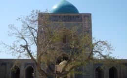 UZBEKISTAN 26-3 2-4 2009 Khiva – Bukhara- Samarcanda – Tashkent (363)