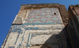 UZBEKISTAN 26-3 2-4 2009 Khiva – Bukhara- Samarcanda – Tashkent (433)