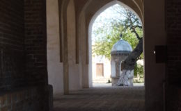 UZBEKISTAN 26-3 2-4 2009 Khiva – Bukhara- Samarcanda – Tashkent (466)