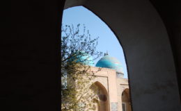 UZBEKISTAN 26-3 2-4 2009 Khiva – Bukhara- Samarcanda – Tashkent (467)