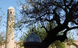UZBEKISTAN 26-3 2-4 2009 Khiva – Bukhara- Samarcanda – Tashkent (468)