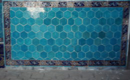 UZBEKISTAN 26-3 2-4 2009 Khiva – Bukhara- Samarcanda – Tashkent (484)