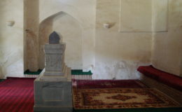 UZBEKISTAN 26-3 2-4 2009 Khiva – Bukhara- Samarcanda – Tashkent (493)