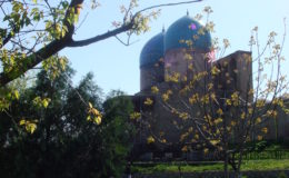 UZBEKISTAN 26-3 2-4 2009 Khiva – Bukhara- Samarcanda – Tashkent (503)
