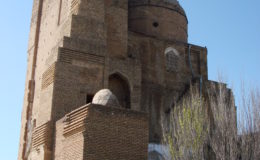 UZBEKISTAN 26-3 2-4 2009 Khiva – Bukhara- Samarcanda – Tashkent (505)