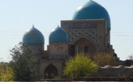 UZBEKISTAN 26-3 2-4 2009 Khiva – Bukhara- Samarcanda – Tashkent (507)