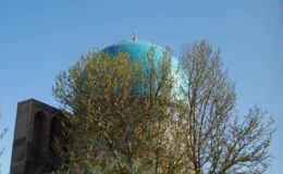 UZBEKISTAN 26-3 2-4 2009 Khiva – Bukhara- Samarcanda – Tashkent (531)