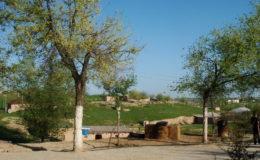 UZBEKISTAN 26-3 2-4 2009 Khiva – Bukhara- Samarcanda – Tashkent (533)