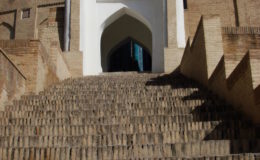 UZBEKISTAN 26-3 2-4 2009 Khiva – Bukhara- Samarcanda – Tashkent (573)