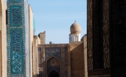 UZBEKISTAN 26-3 2-4 2009 Khiva – Bukhara- Samarcanda – Tashkent (590)