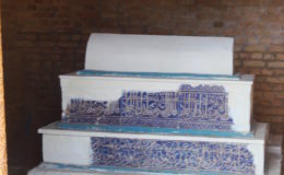 UZBEKISTAN 26-3 2-4 2009 Khiva – Bukhara- Samarcanda – Tashkent (598)