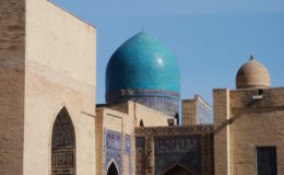 UZBEKISTAN 26-3 2-4 2009 Khiva – Bukhara- Samarcanda – Tashkent (607)
